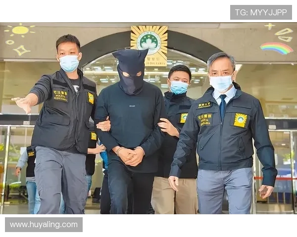 澳门六张赌牌对行业发展的影响分析，探讨合法经营对澳门博彩业的推动作用